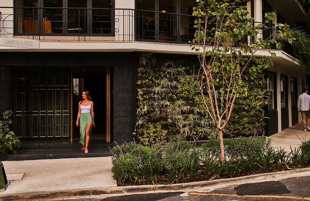 Campos Polanco-1