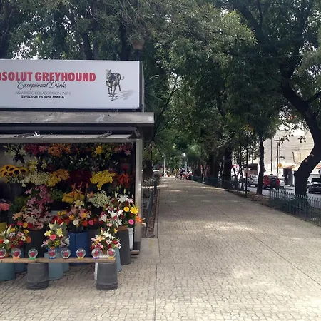 Casa Corp Boutique Suites In Condesa-3