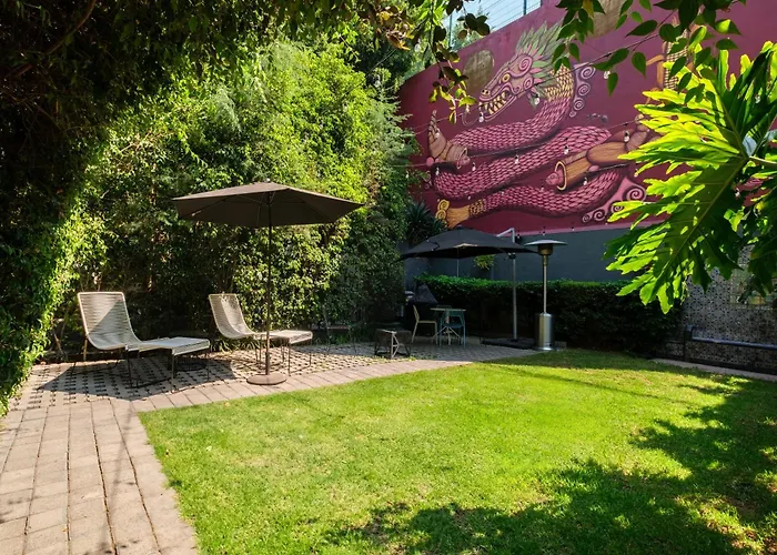 Pug Seal Polanco Allan Poe Mexico City