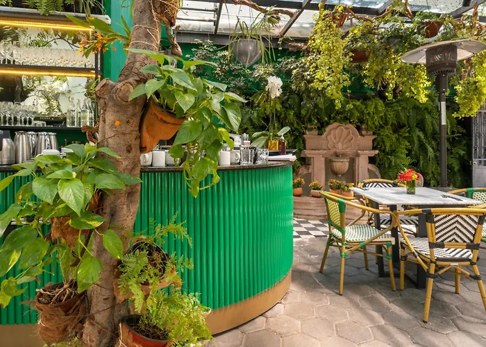 Orchid House Mexico City